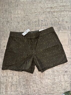 LOFT Olive Green Lace Overlay Shorts
